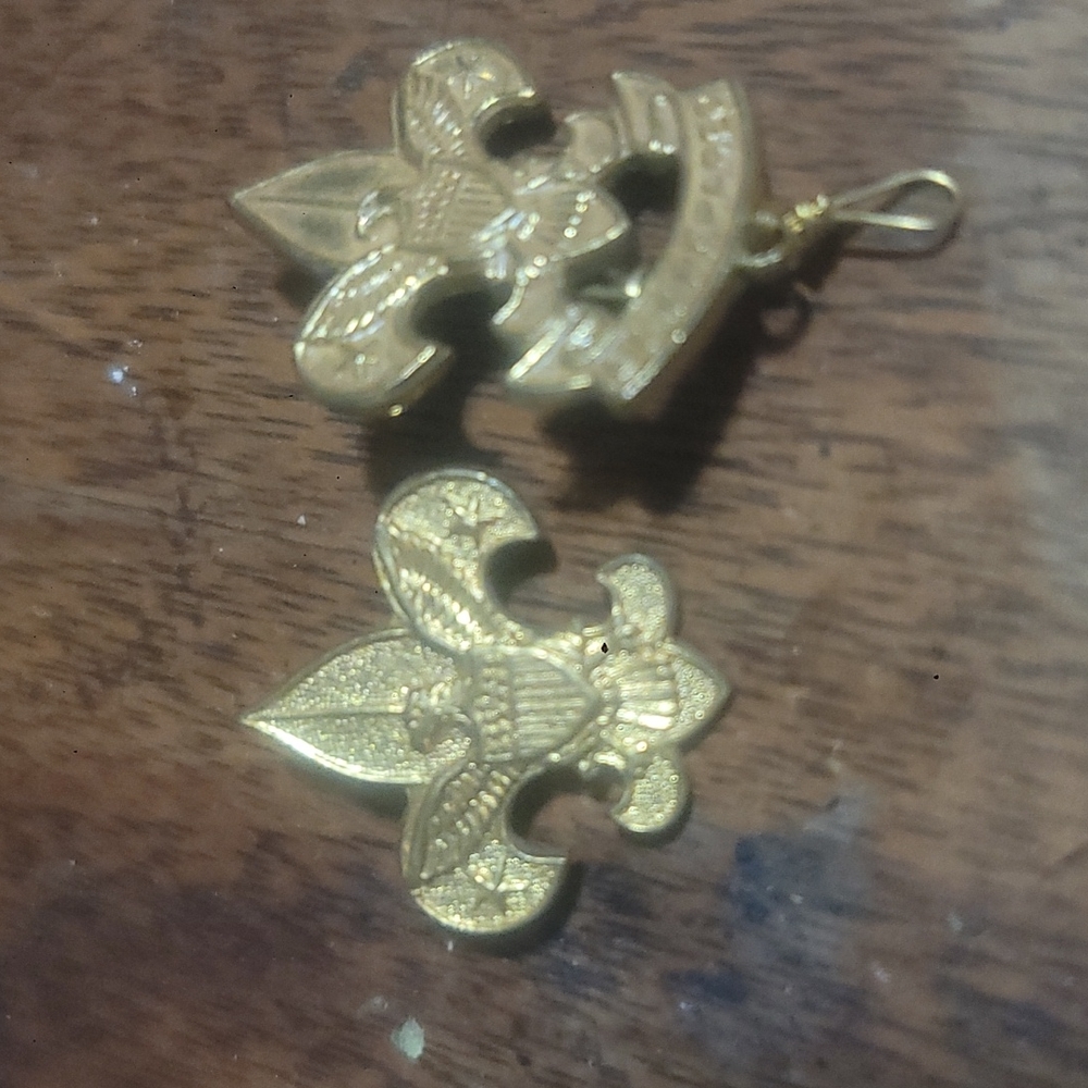 2 Boy Scout pins